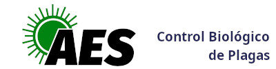 AES GUATEMALA